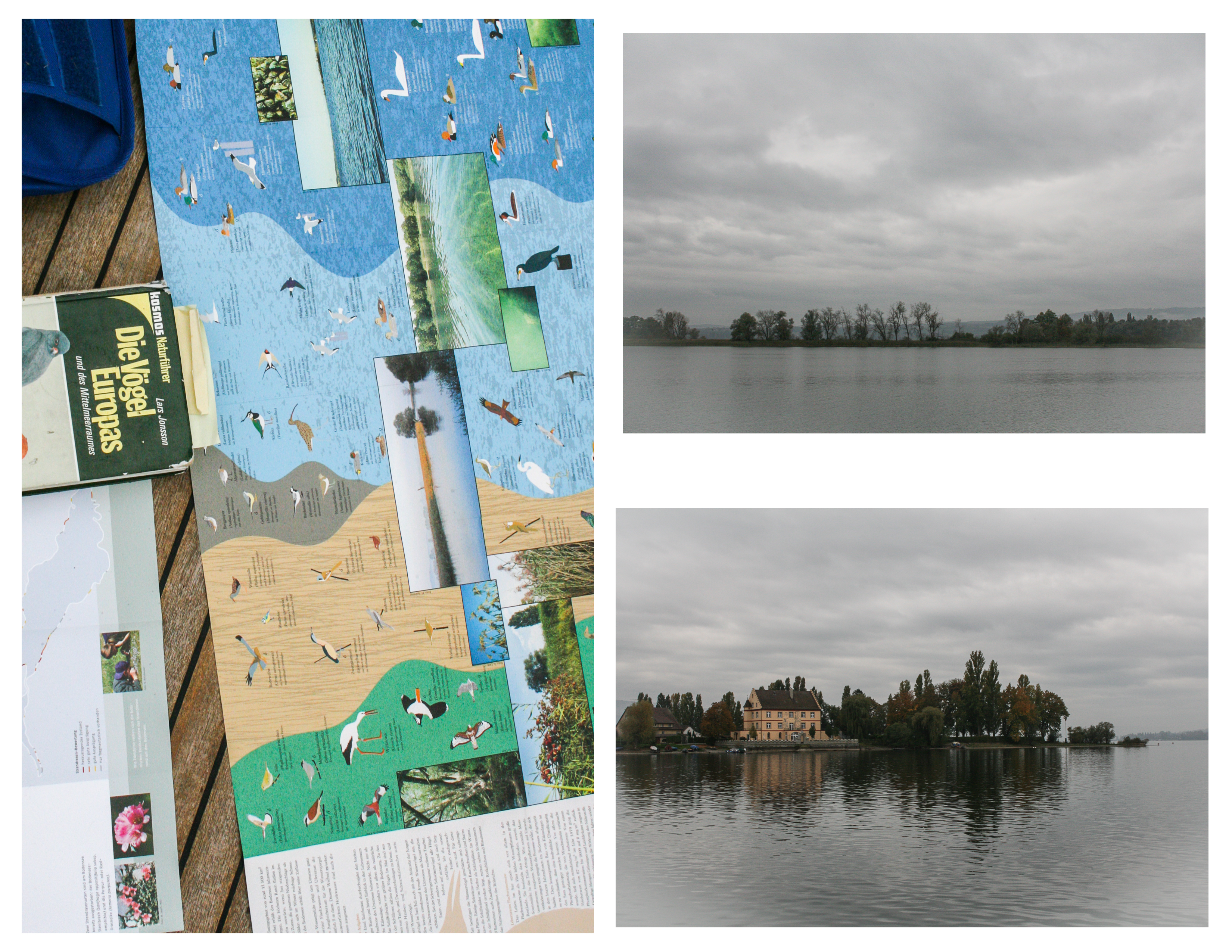 collage-bodensee-2