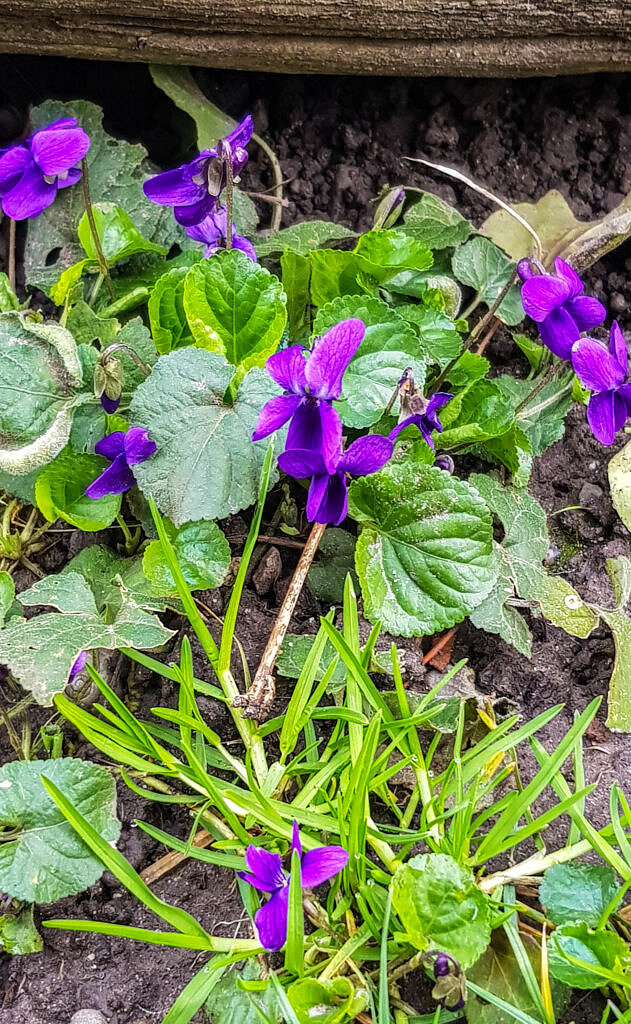 Ideen für die CocooningZeit …alt werden kann ich später.